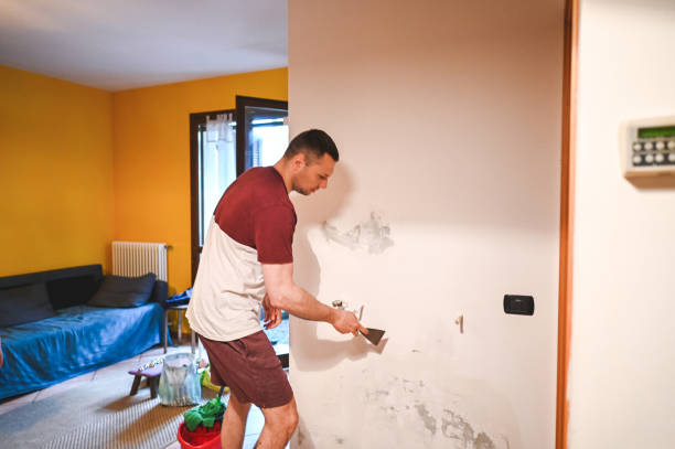 Best Home Mold Removal  in Twinsburg, OH